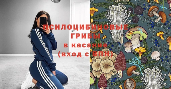 стафф Балабаново